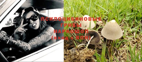 крисы Зеленодольск