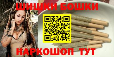 СК Рыбинск