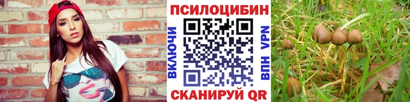 Галлюциногенные грибы ЛСД Советская Гавань
