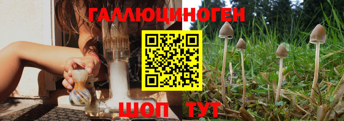 Галлюциногенные грибы Magic Shrooms Советская Гавань